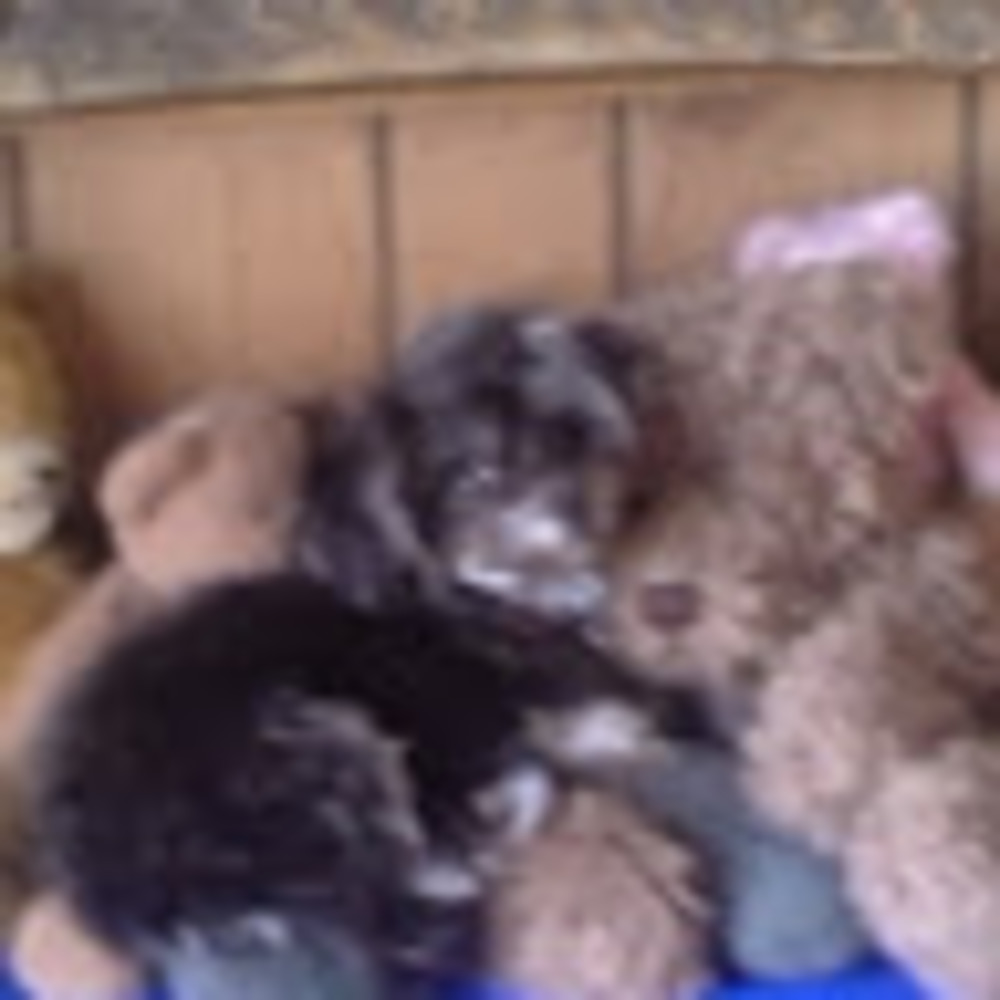 Meet your Posher, Kk